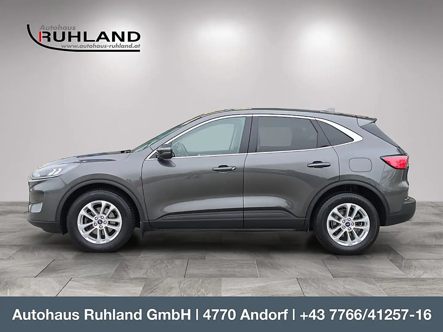 Ford Kuga 2.0 EcoBlue Titanium Grau - 2