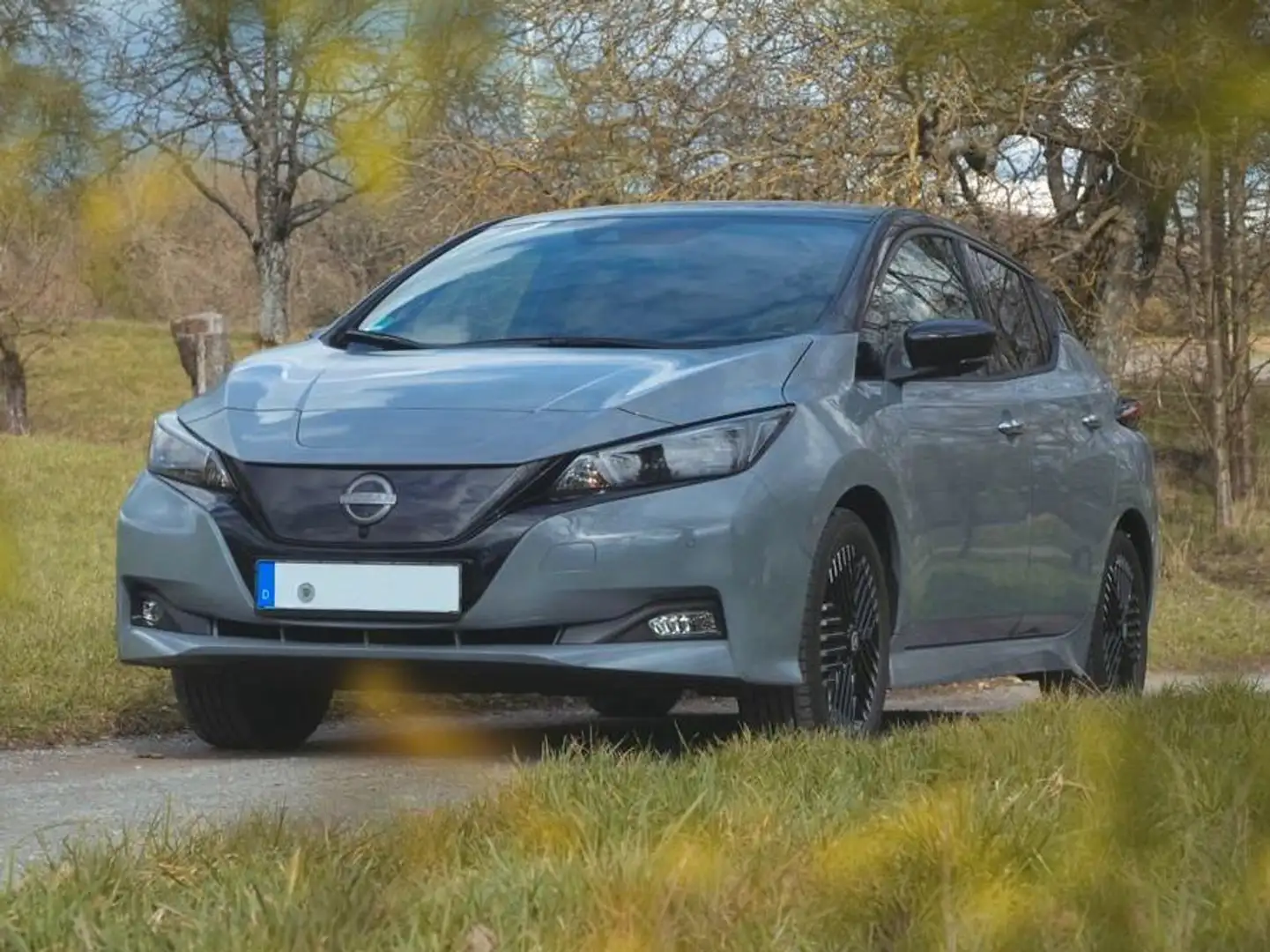Nissan Leaf Leaf 39 kWh Tekna Grau - 1