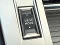 Peugeot 308 SW Active Pack Aut. 130 EAT8 8G-Automatik Vert - thumbnail 21