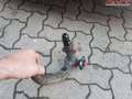Audi A4 Avant Attraction 2.0 TDI DPF 105 kW (143 PS), S... Grau - thumbnail 15