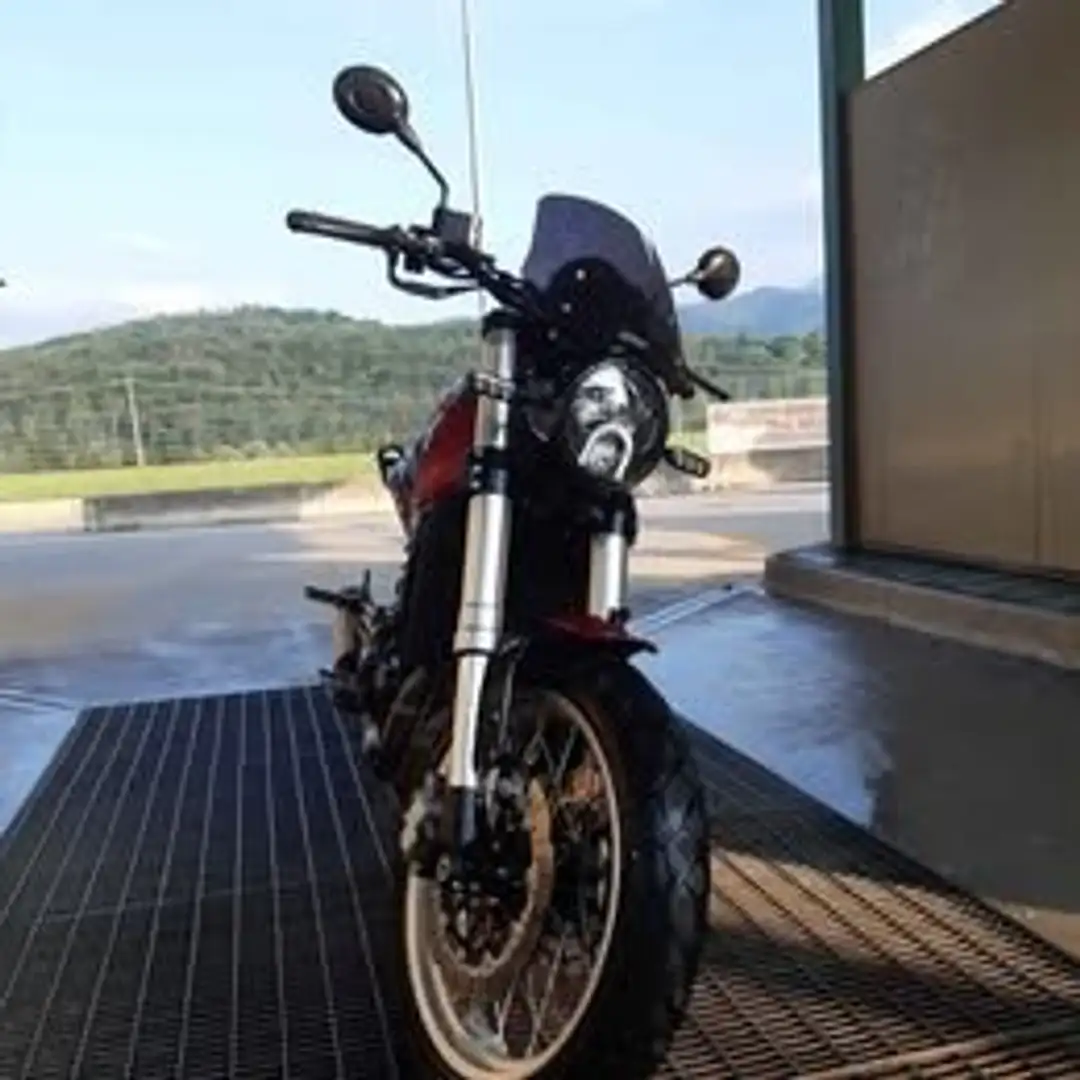 Benelli Leoncino Rosso - 1