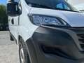 Fiat Ducato 140 L4H2 RS: 4035 mm     Netto 21500€ Weiß - thumbnail 9