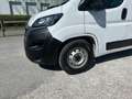 Fiat Ducato 140 L4H2 RS: 4035 mm     Netto 21500€ Weiß - thumbnail 4