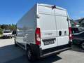 Fiat Ducato 140 L4H2 RS: 4035 mm     Netto 21500€ Weiß - thumbnail 5
