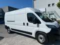 Fiat Ducato 140 L4H2 RS: 4035 mm     Netto 21500€ Weiß - thumbnail 1