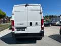 Fiat Ducato 140 L4H2 RS: 4035 mm     Netto 21500€ Weiß - thumbnail 6