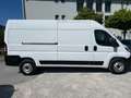 Fiat Ducato 140 L4H2 RS: 4035 mm     Netto 21500€ Weiß - thumbnail 3