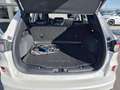 Ford Kuga 2.5 Duratec 225ch PowerSplit PHEV Vignale eCVT Blanc - thumbnail 13