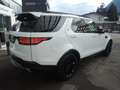 Land Rover Discovery 5 3,0 TDV6 HSE Aut. Weiß - thumbnail 6
