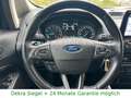 Ford EcoSport 74kW.AppLink.Klima.DAB.1-Hand Blu/Azzurro - thumbnail 14