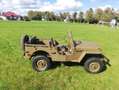 Jeep Willys MB Verde - thumbnail 8