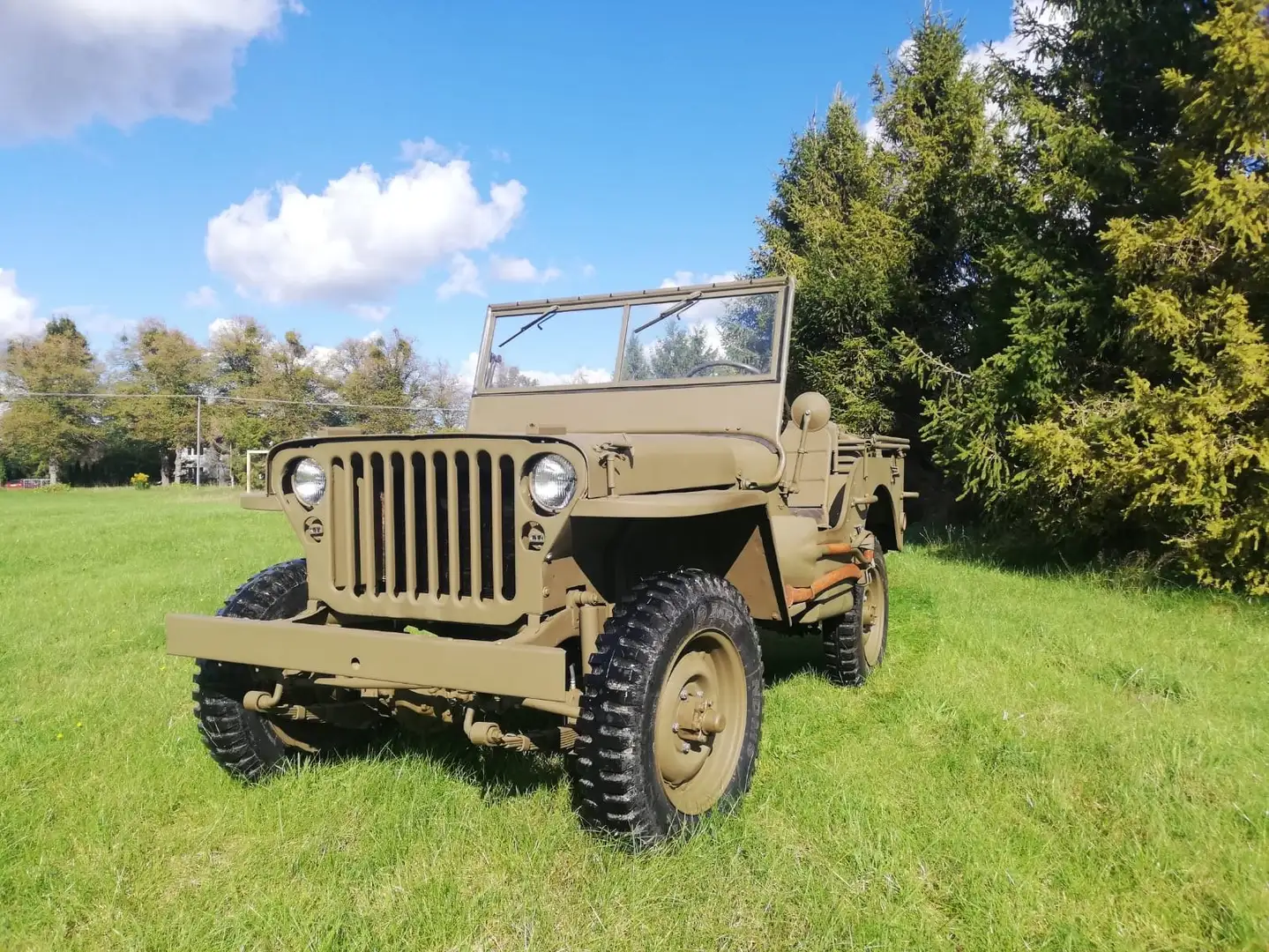 Jeep Willys MB Verde - 1