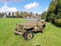 Jeep Willys MB Verde - thumbnail 13
