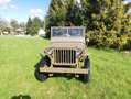 Jeep Willys MB Verde - thumbnail 6