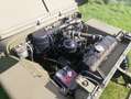 Jeep Willys MB Verde - thumbnail 15