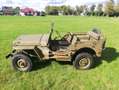 Jeep Willys MB Verde - thumbnail 16