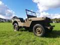 Jeep Willys MB Verde - thumbnail 5