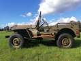 Jeep Willys MB Verde - thumbnail 7