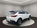 Opel Grandland (X) 1.2 Turbo GS Line 360 Kamera Navig Wit - thumbnail 5