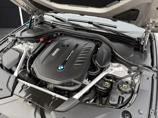 BMW 5 Series view 14