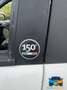 Fiat Panda 1.3 MJT 16V DPF 4x4 Cross Blanc - thumbnail 10