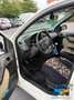 Fiat Panda 1.3 MJT 16V DPF 4x4 Cross Blanc - thumbnail 7