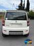 Fiat Panda 1.3 MJT 16V DPF 4x4 Cross Blanc - thumbnail 4