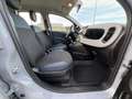 Fiat Panda Mild-Hybrid  City Cross Grau - thumbnail 10