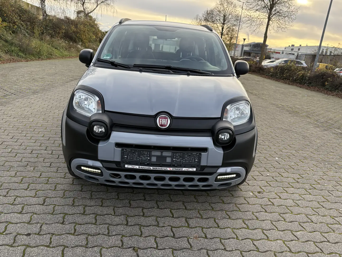 Fiat Panda Mild-Hybrid  City Cross Grau - 2