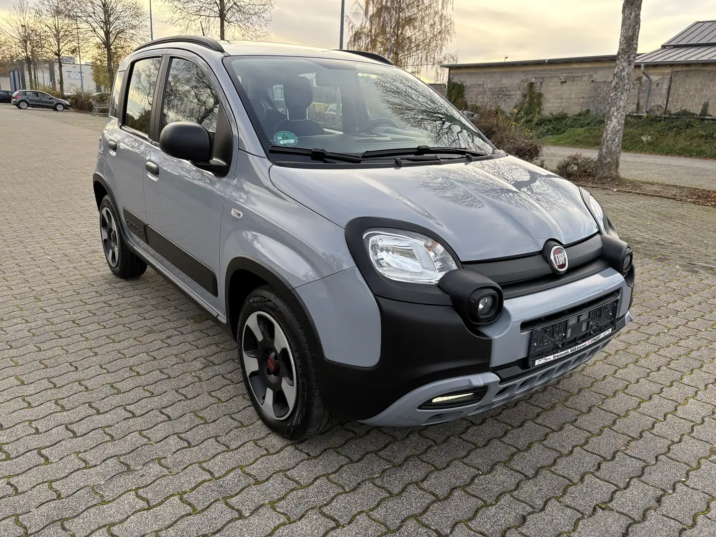 Fiat Panda Mild-Hybrid  City Cross Grau - 1