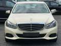 Mercedes-Benz E 220 BlueTec Motor und Getriebe GUT Gelb - thumbnail 2