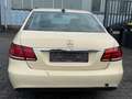 Mercedes-Benz E 220 BlueTec Motor und Getriebe GUT Gelb - thumbnail 10
