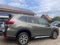 Subaru Forester Active Allrad, AHK, KLIMA, Stoßst. Abdeckung Braun - thumbnail 4
