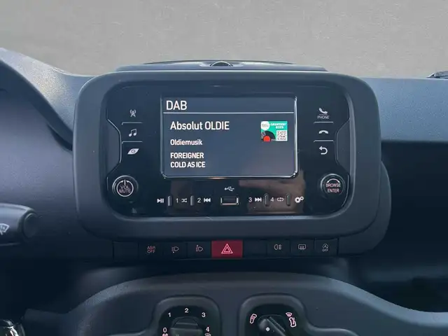 Fiat Panda view 12