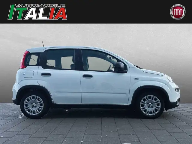 Fiat Panda view 3