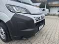 Fiat Ducato KASTENWAGEN 33 L2H1 120MT Weiß - thumbnail 13