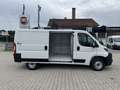 Fiat Ducato KASTENWAGEN 33 L2H1 120MT Weiß - thumbnail 3