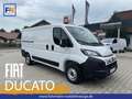 Fiat Ducato KASTENWAGEN 33 L2H1 120MT Weiß - thumbnail 1