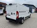 Fiat Ducato KASTENWAGEN 33 L2H1 120MT Weiß - thumbnail 4