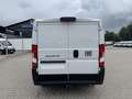 Fiat Ducato KASTENWAGEN 33 L2H1 120MT Weiß - thumbnail 5