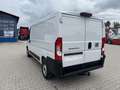 Fiat Ducato KASTENWAGEN 33 L2H1 120MT Weiß - thumbnail 10