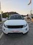 Land Rover Range Rover Evoque 2.2L TD4 Pure Tech 4x4 Aut. - thumbnail 7