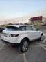 Land Rover Range Rover Evoque 2.2L TD4 Pure Tech 4x4 Aut. - thumbnail 3
