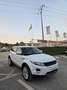 Land Rover Range Rover Evoque 2.2L TD4 Pure Tech 4x4 Aut. - thumbnail 8