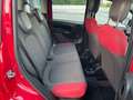 Fiat Panda 1.2 Pop 69cv Rouge - thumbnail 13