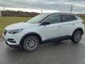 Opel Grandland X Grandland X 1,5 Diesel Ultimate Start/Stopp Weiß - thumbnail 5