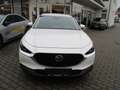Mazda CX-30 L SKYACTIV-X 2.0 M Hybrid AWD 6AG AL-SELECTION A18 Blanc - thumbnail 2