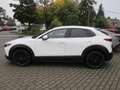 Mazda CX-30 L SKYACTIV-X 2.0 M Hybrid AWD 6AG AL-SELECTION A18 Blanc - thumbnail 4