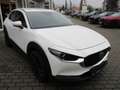 Mazda CX-30 L SKYACTIV-X 2.0 M Hybrid AWD 6AG AL-SELECTION A18 Blanc - thumbnail 1