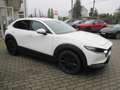 Mazda CX-30 L SKYACTIV-X 2.0 M Hybrid AWD 6AG AL-SELECTION A18 Blanc - thumbnail 8